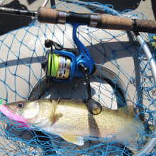Walleye Fishing Reel