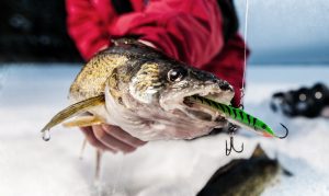 best walleye ice fishing rod
