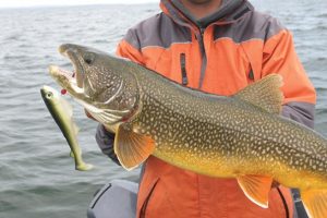 best lake trout lures