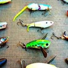 topwater lures for bass