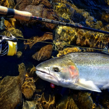 best salmon fishing rod