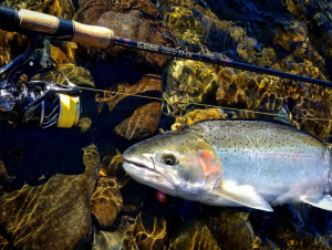 best salmon fishing rod