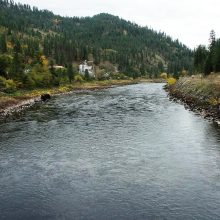 Salmon River Fishing Techniques