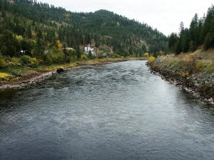 Salmon River Fishing Techniques