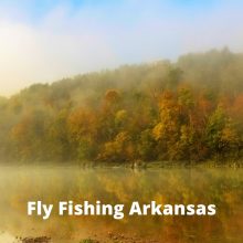 Fly Fishing Arkansas