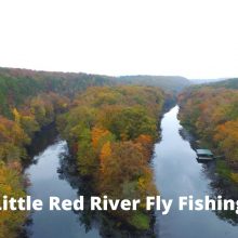 Little Red River Fly Fishing