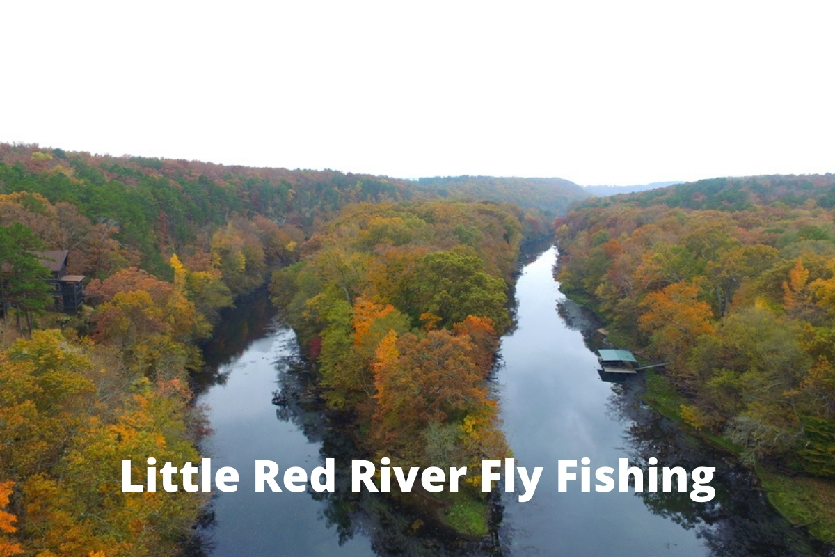 Little Red River Fly Fishing Lake Ontario Outdoors