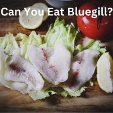 Can You Eat Bluegill